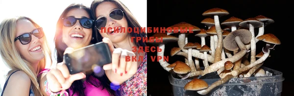 спайс Козельск