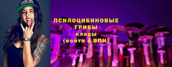 МДПВ Кодинск