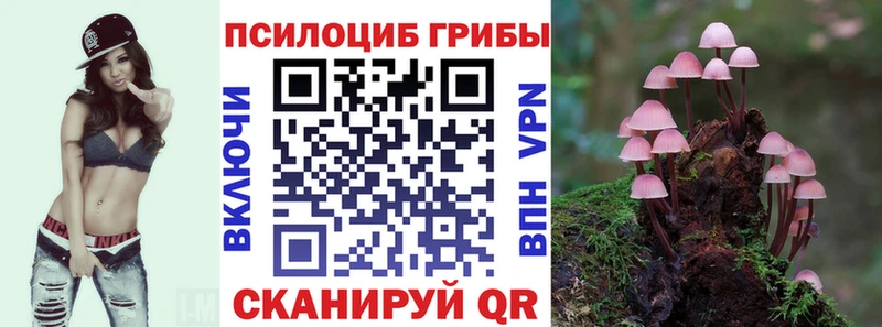 Купить где  Холмск  Галлюциногенные грибы GOLDEN TEACHER 